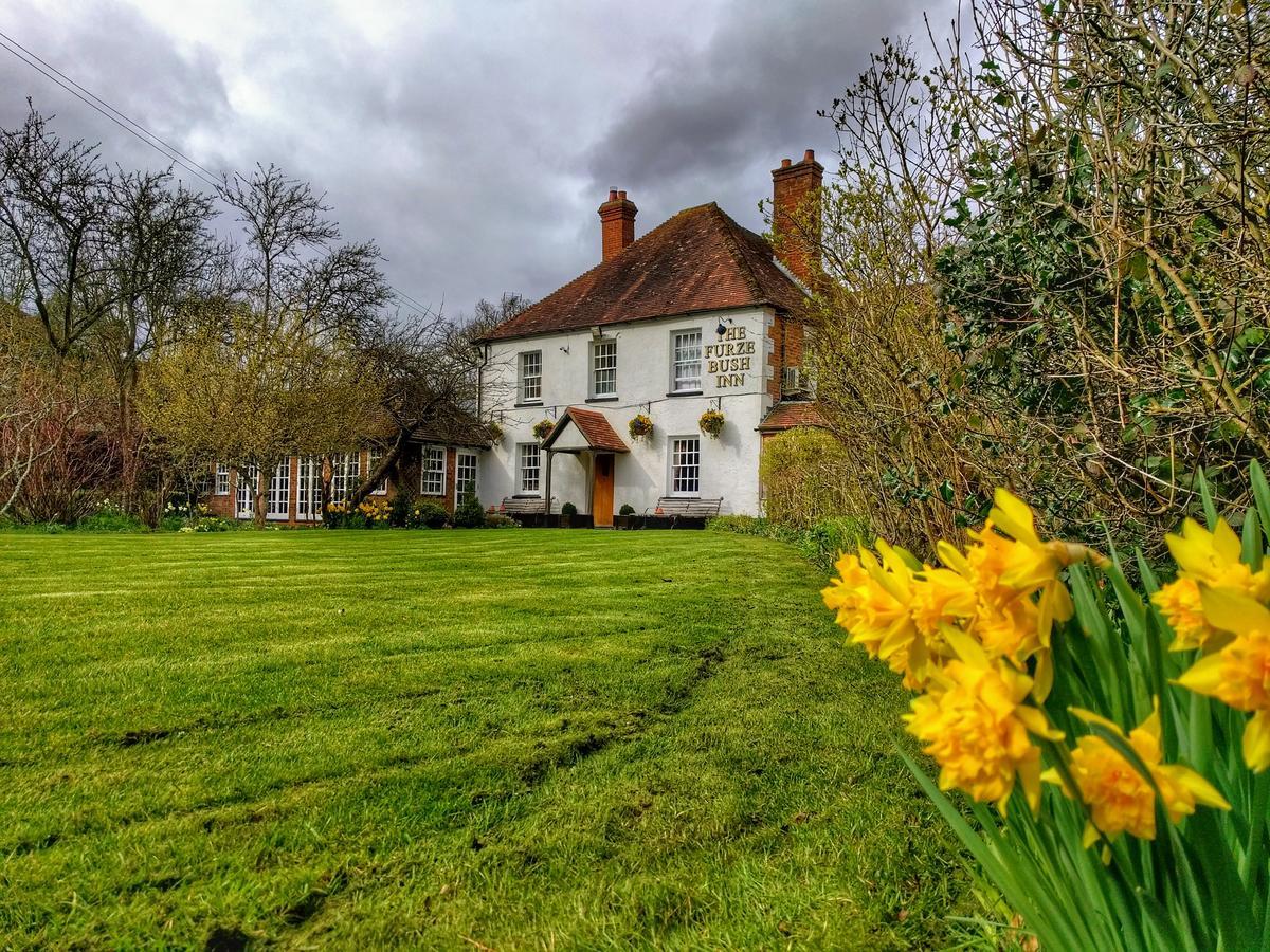 The Furze Bush Inn Newbury  Exterior photo