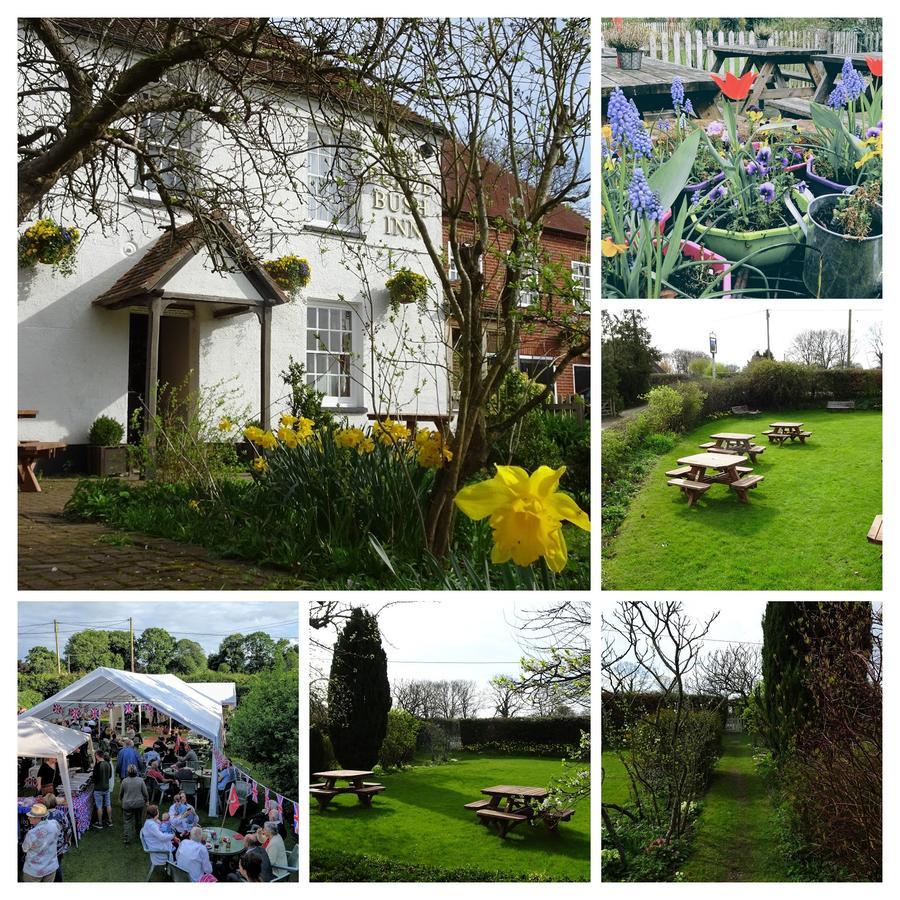 The Furze Bush Inn Newbury  Exterior photo